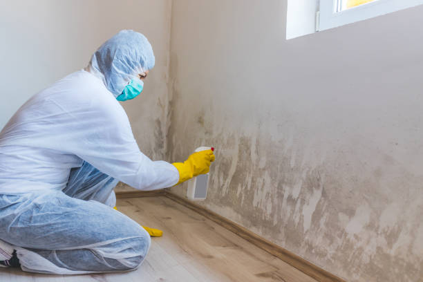 Crawl Space Mold Remediation treatment of floor joists in Greenbrier
