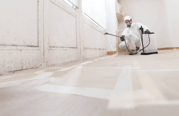 Black mold remediation team in Greenbrier